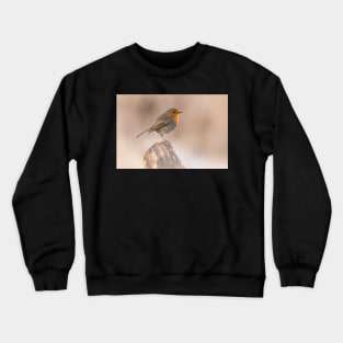 Robin perch Crewneck Sweatshirt